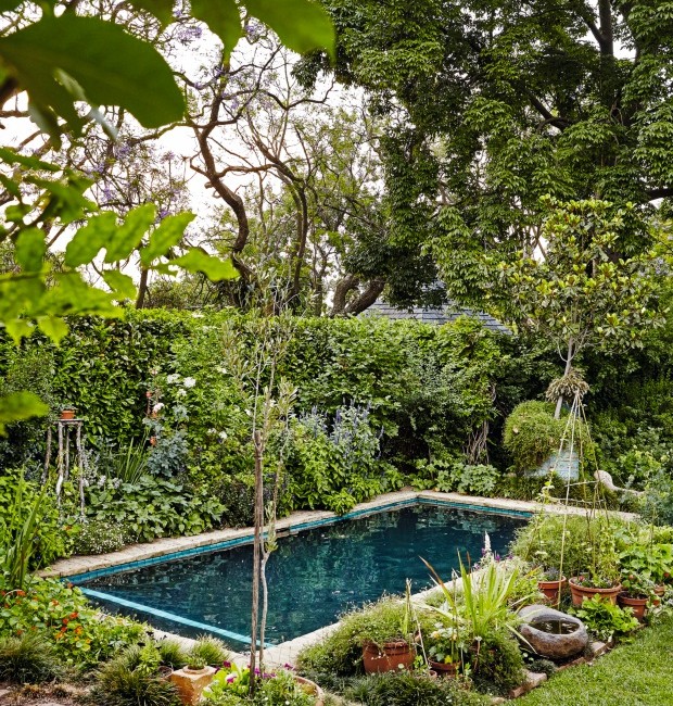 plantas seguras para piscina