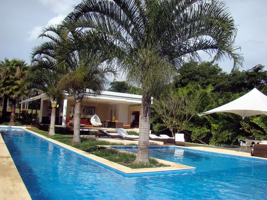plantas que repelem insetos da piscina