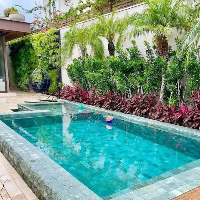 plantas que não soltam folhas na piscina