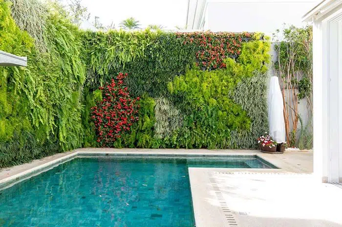 plantas que não soltam folhas na piscina
