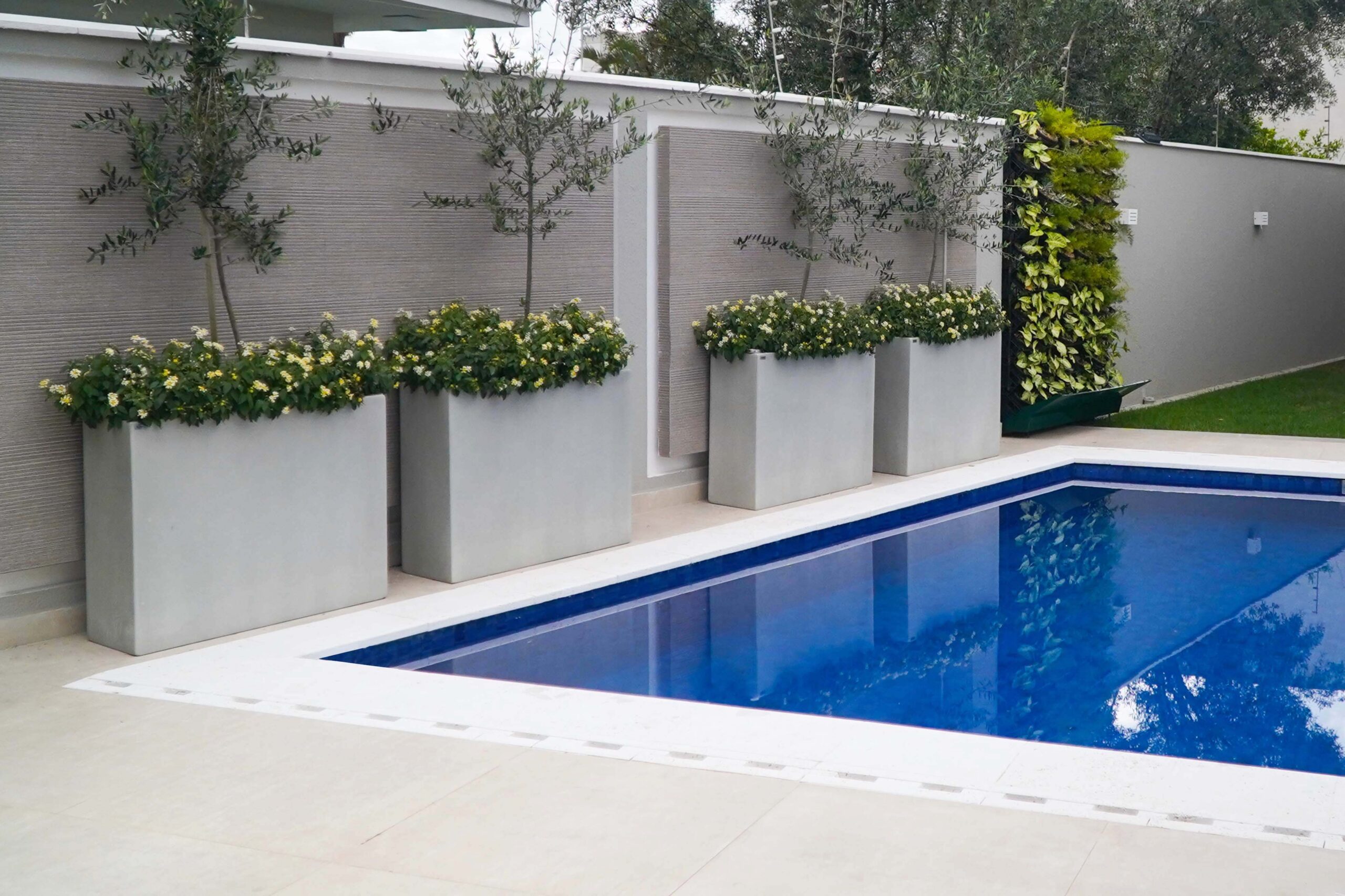 plantas com raízes não agressivas para piscina