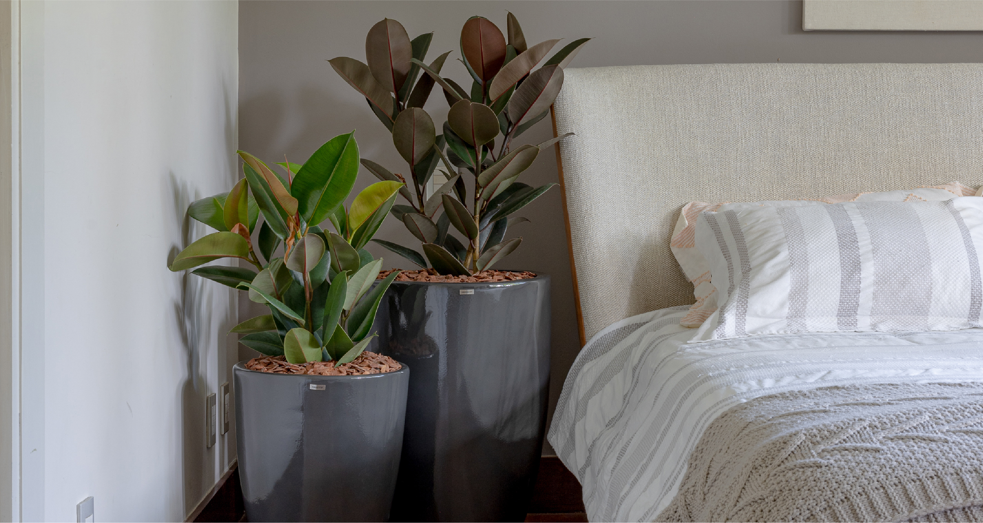 plantas para quarto pequeno