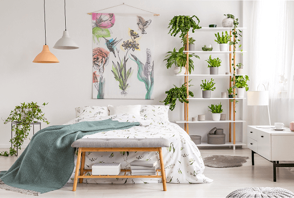 plantas que purificam o ar do quarto