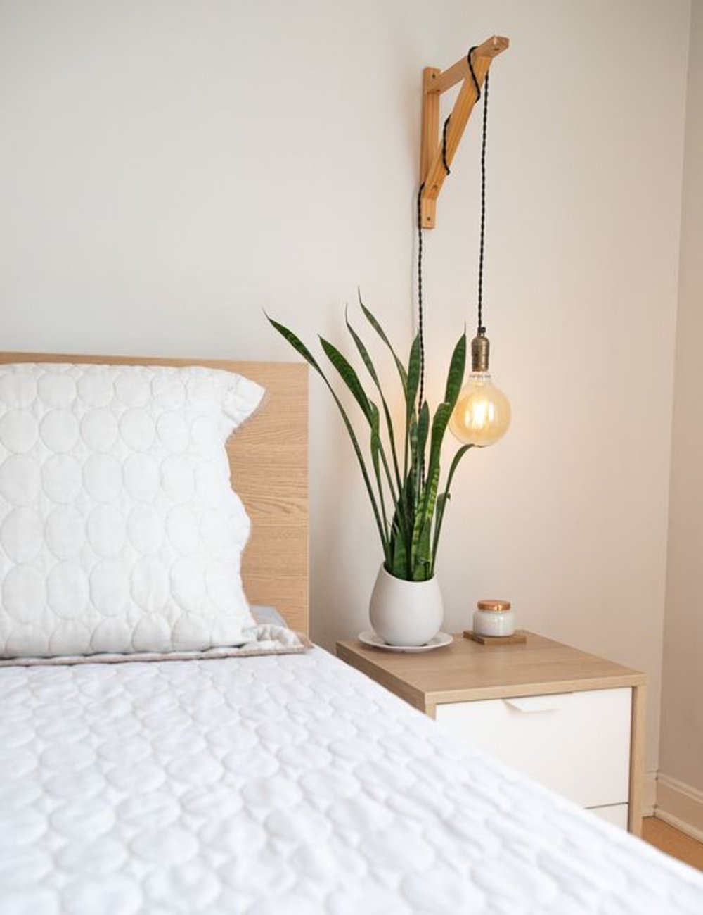 plantas fáceis de cuidar para quarto