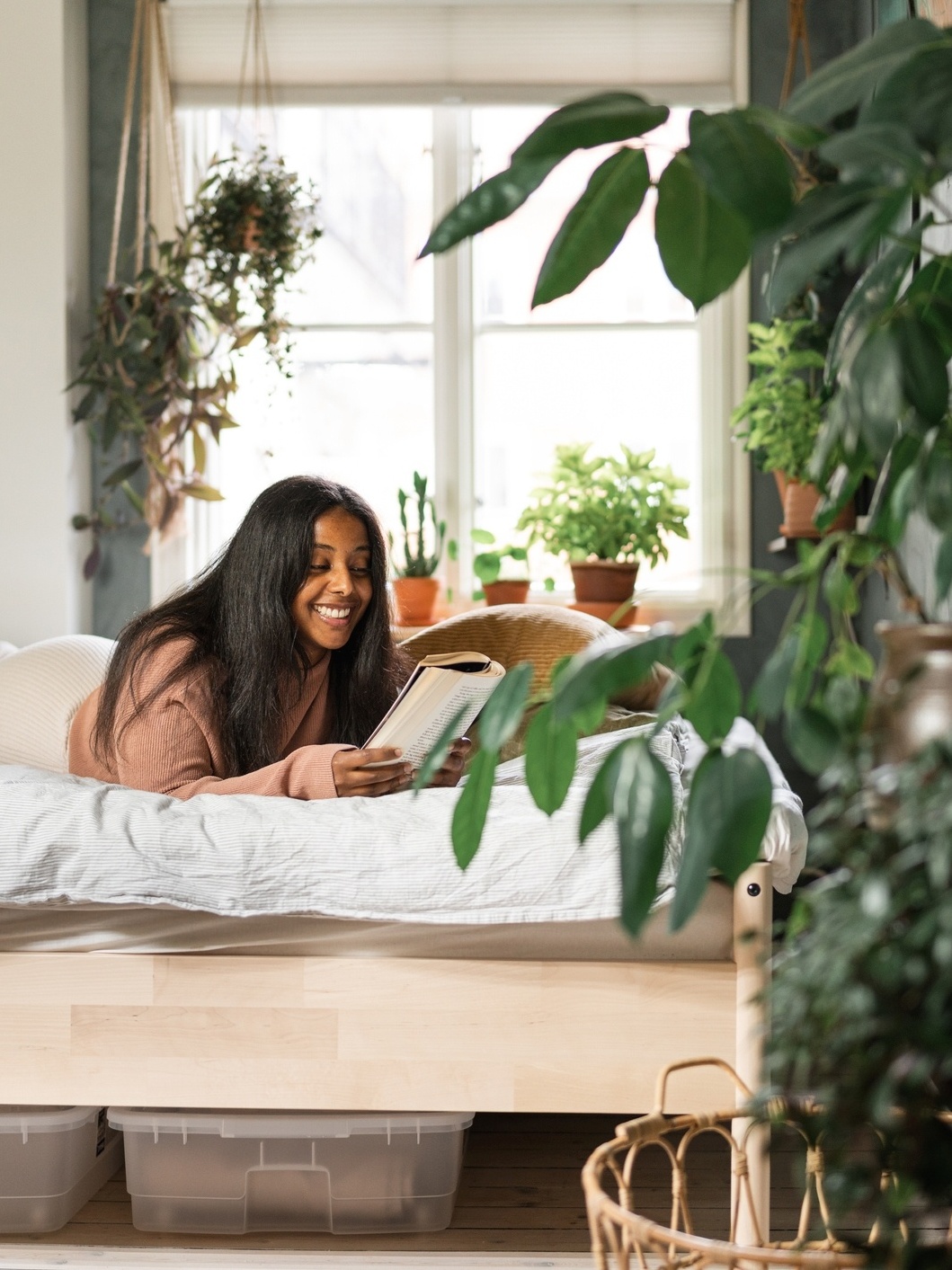 plantas decorativas para quarto