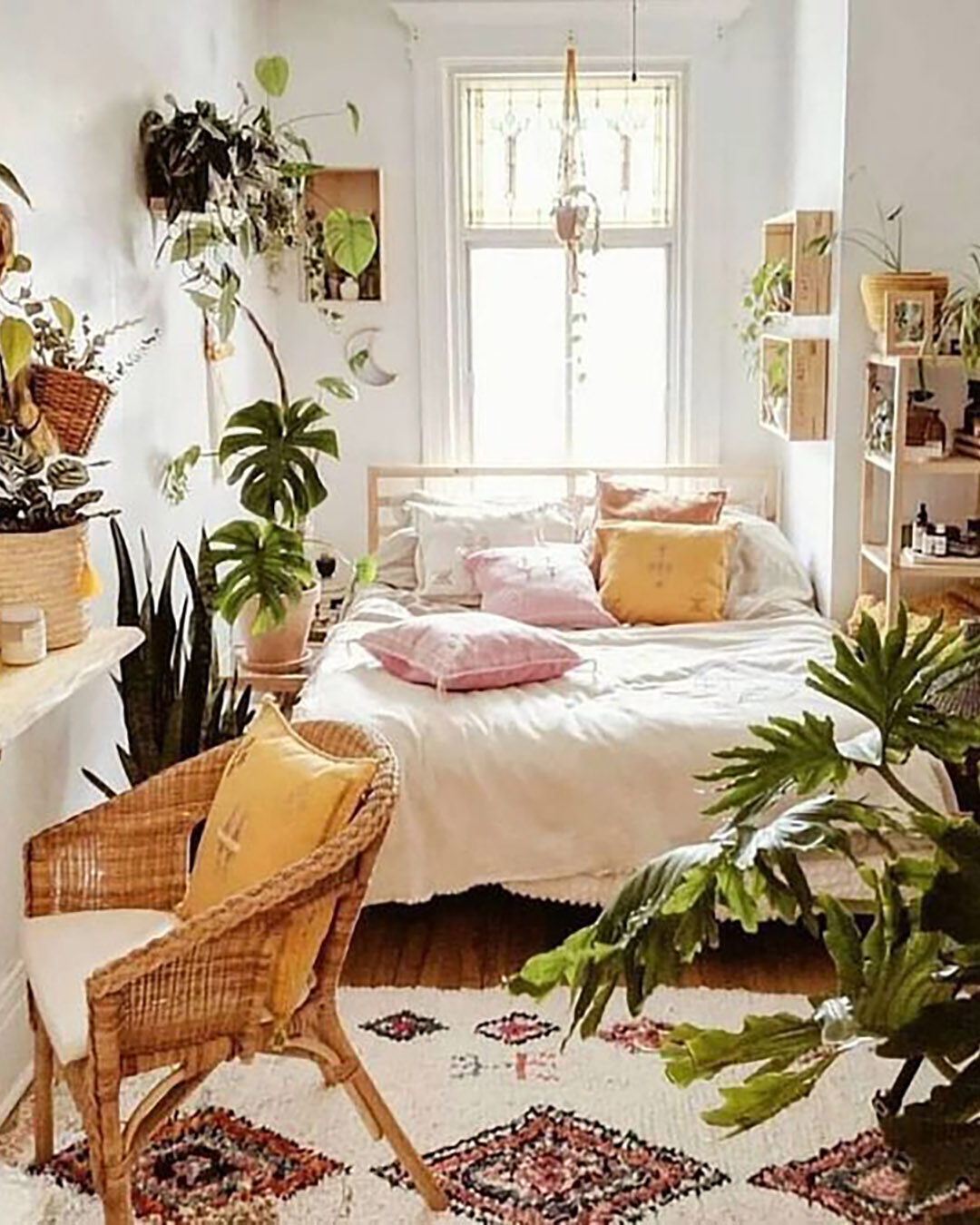 plantas para dormir melhor
