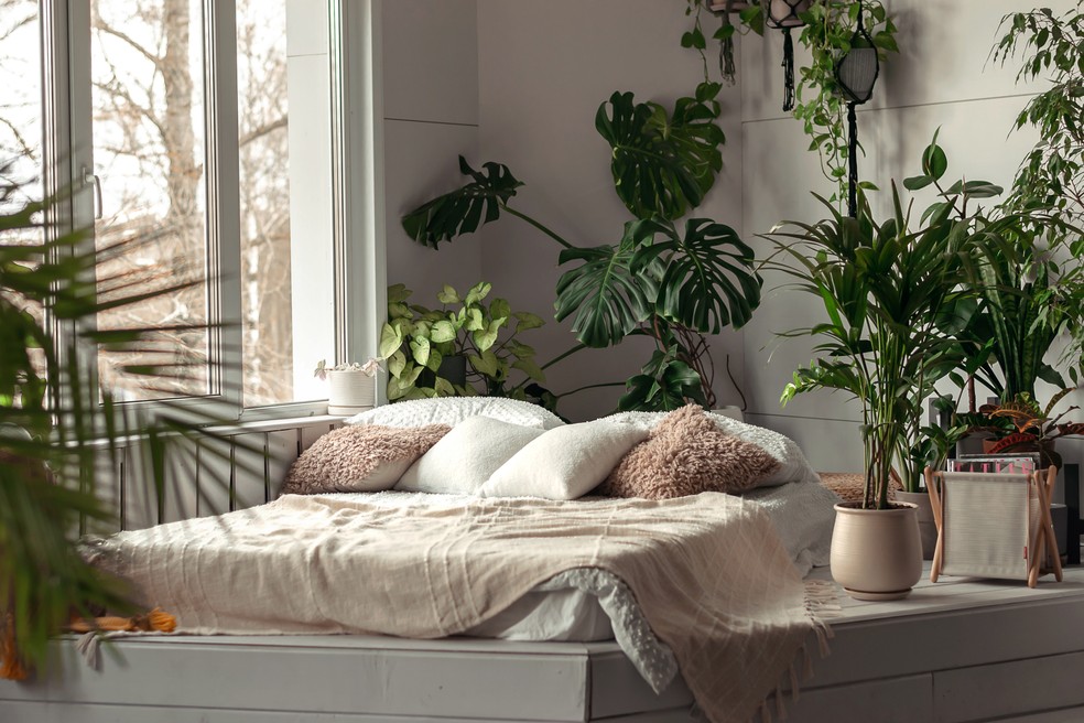 plantas fáceis de cuidar para quarto
