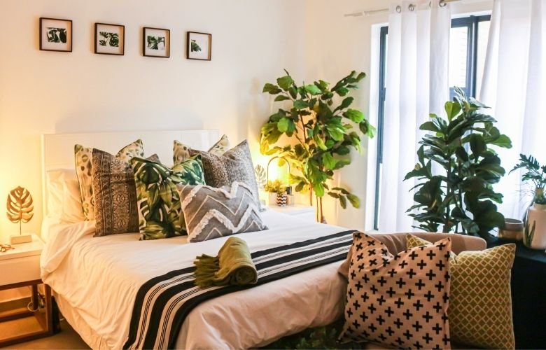plantas que não precisam de sol no quarto