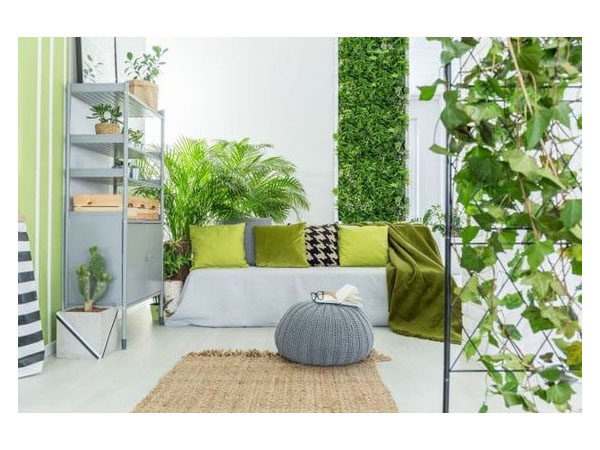 5 Ideias de Títulos:
1. Feng Shui no Quarto: As Plantas Que Transformam Sua Energia
2. Guia Completo: Escolhendo Plantas Ideais para o Seu Quarto Feng Shui
3. Purifique Seu Sono: Plantas Essenciais para um Quarto Harmonioso
4. Evite Erros Comuns: Plantas a Banir do Seu Quarto Segundo o Feng Shui
5. O Poder das Plantas: Como o Feng Shui Pode Melhorar Seus Relacionamentos Através do Quarto