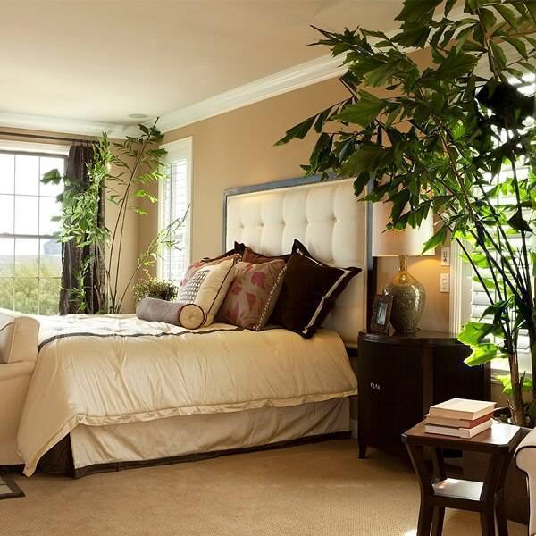 5 Ideias de Títulos:
1. Feng Shui no Quarto: As Plantas Que Transformam Sua Energia
2. Guia Completo: Escolhendo Plantas Ideais para o Seu Quarto Feng Shui
3. Purifique Seu Sono: Plantas Essenciais para um Quarto Harmonioso
4. Evite Erros Comuns: Plantas a Banir do Seu Quarto Segundo o Feng Shui
5. O Poder das Plantas: Como o Feng Shui Pode Melhorar Seus Relacionamentos Através do Quarto