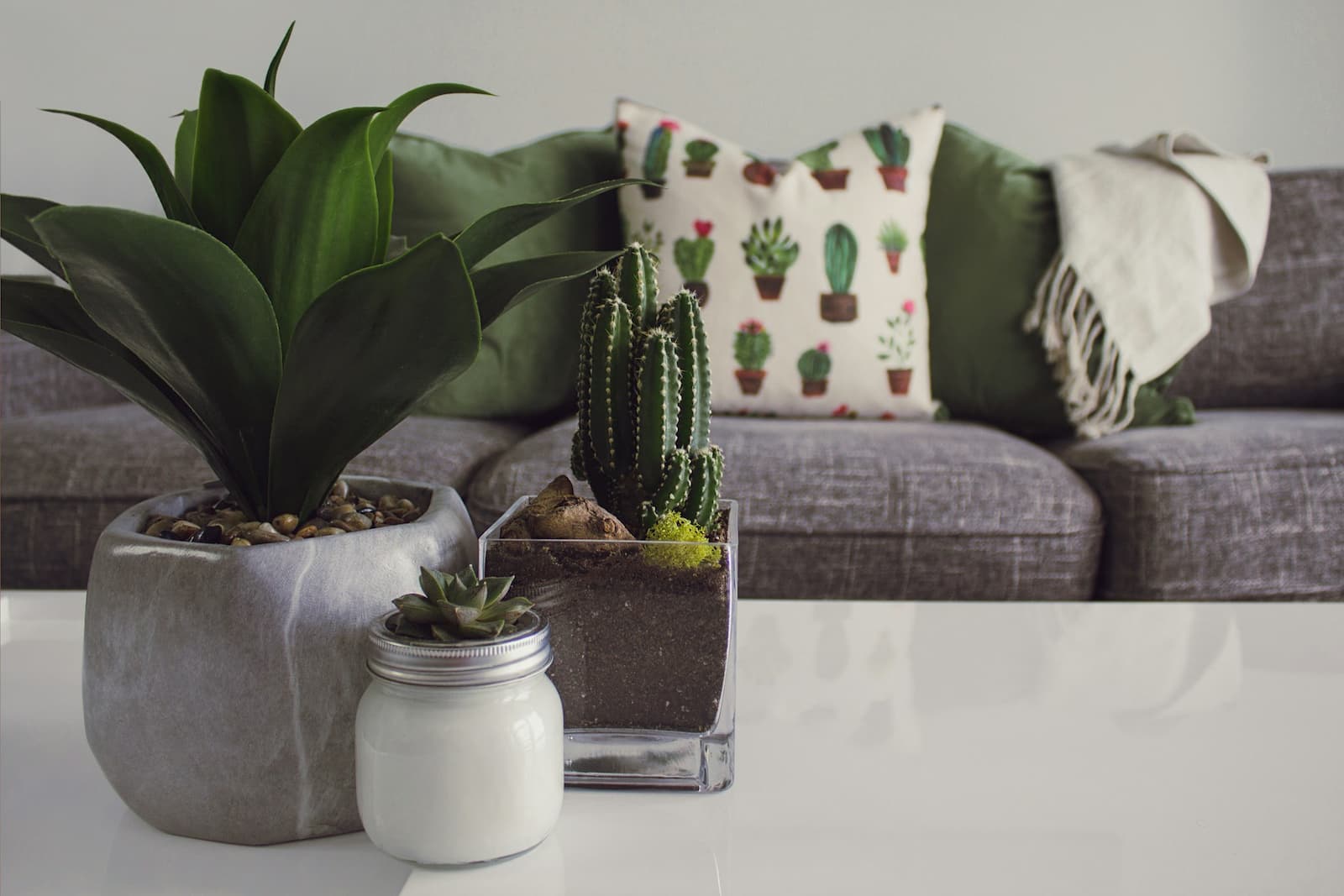 5 Ideias de Títulos:
1. Feng Shui no Quarto: As Plantas Que Transformam Sua Energia
2. Guia Completo: Escolhendo Plantas Ideais para o Seu Quarto Feng Shui
3. Purifique Seu Sono: Plantas Essenciais para um Quarto Harmonioso
4. Evite Erros Comuns: Plantas a Banir do Seu Quarto Segundo o Feng Shui
5. O Poder das Plantas: Como o Feng Shui Pode Melhorar Seus Relacionamentos Através do Quarto