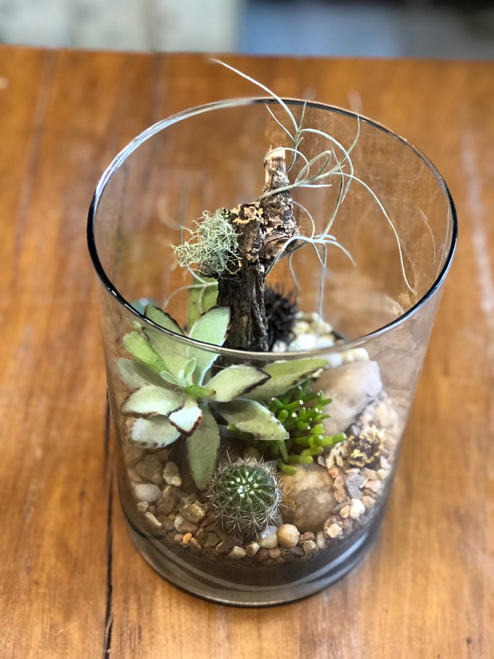 Como criar um terrário aberto passo a passo