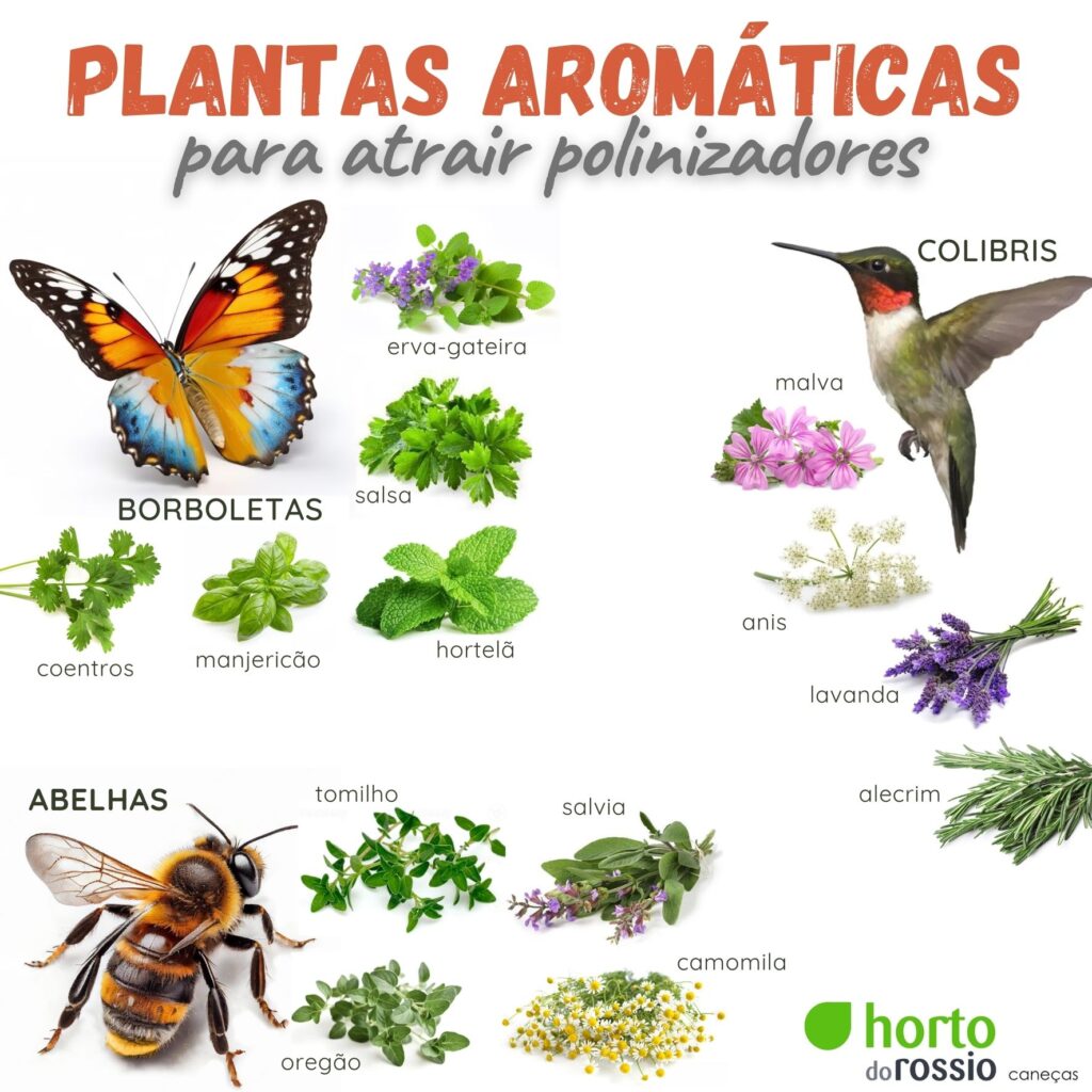 Transforme sua varanda em um oásis para beija-flores