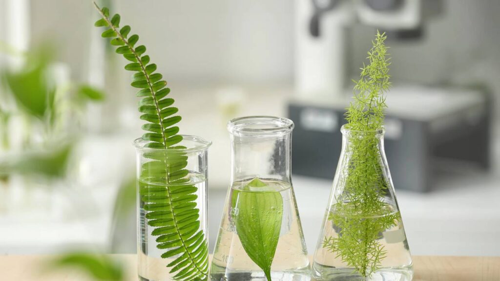 Guia completo de fertilização para plantas hidropônicas