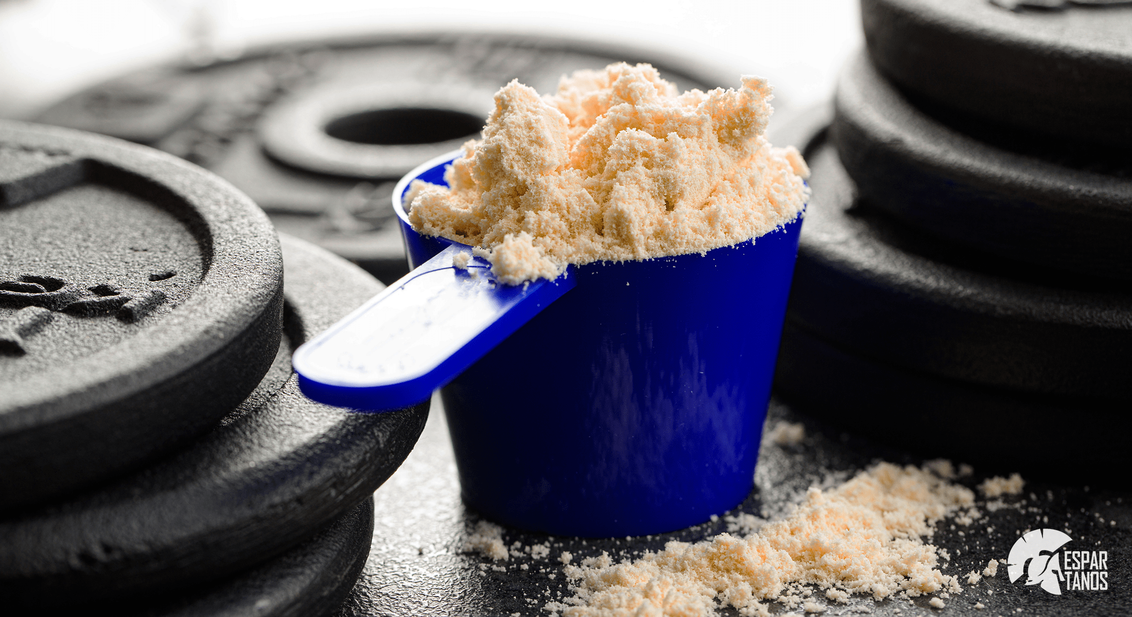 Benefícios do Whey Protein para Idosos