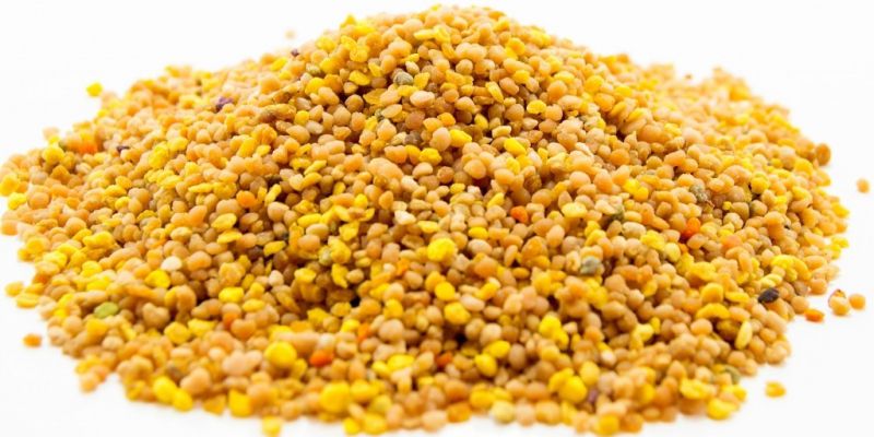 Comparativo: Pólen de Funcho vs. Sementes de Funcho