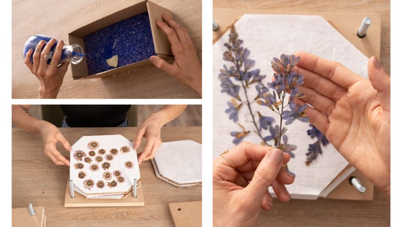 Guia completo de materiais para prensagem de flores