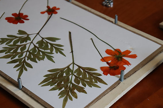 5 ideias de artesanato com flores prensadas