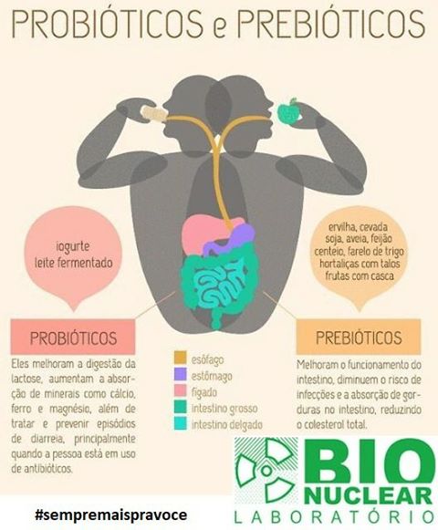 Probióticos e saúde vaginal: entenda a relação