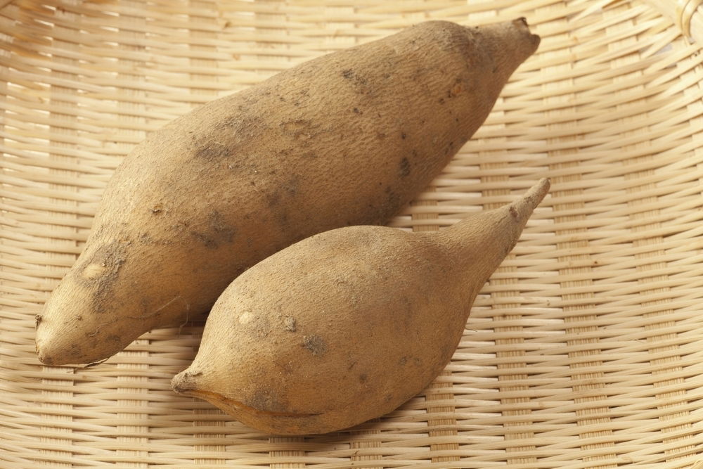 Receitas Deliciosas com Batata Yacon