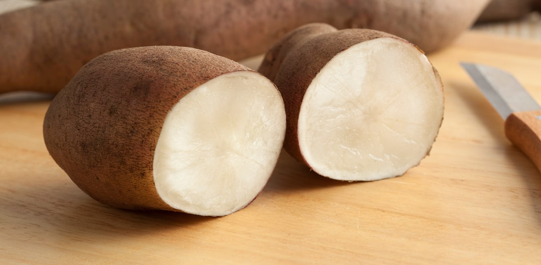 Guia Completo: Benefícios da Batata Yacon para Diabéticos