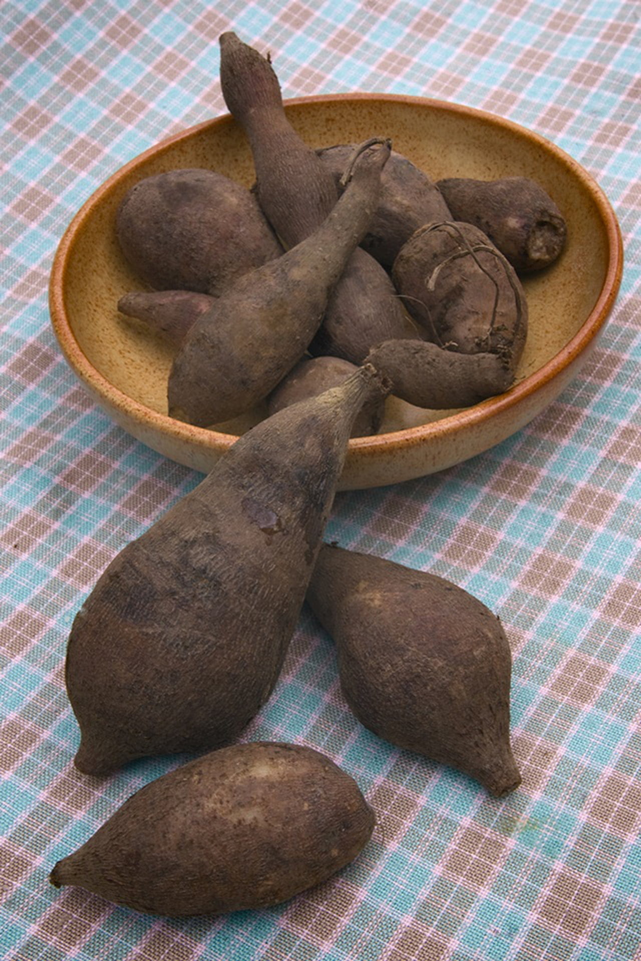 Receitas Deliciosas com Batata Yacon