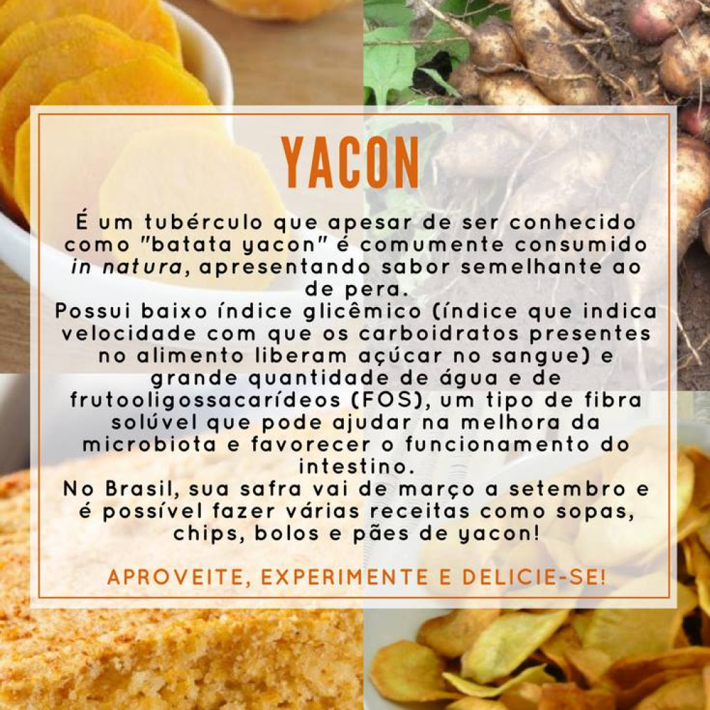 Yacon vs. Batata Doce: Qual a Melhor Escolha?