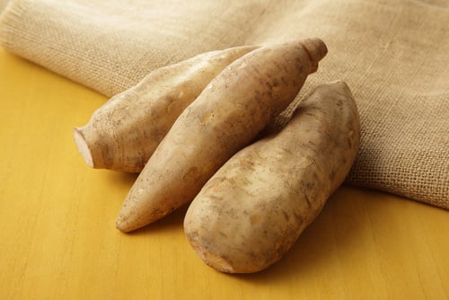 Como a Batata Yacon Ajuda na Saúde Intestinal