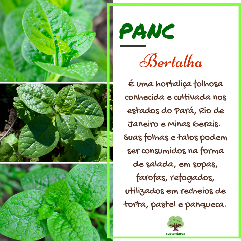 propriedades da bertalha