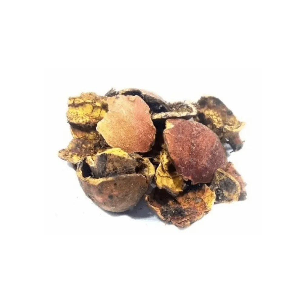 Romã vs. outras frutas antioxidantes: qual a melhor?