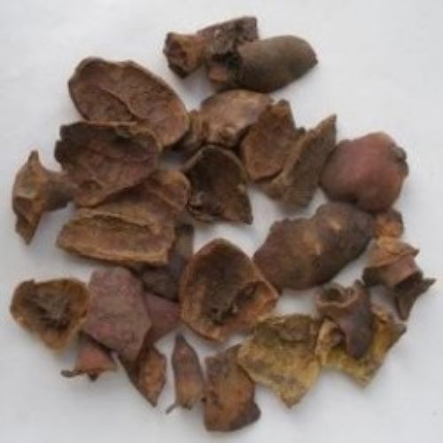 Onde comprar romã de qualidade: guia de fornecedores