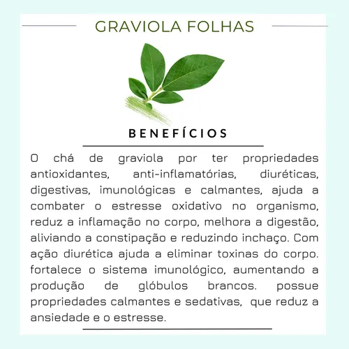 Como preparar o chá de folha de graviola corretamente