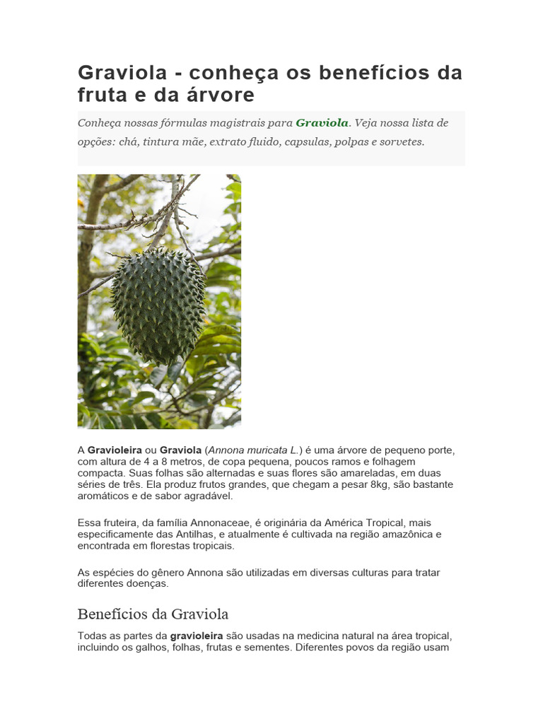 Receitas saudáveis com graviola (além do chá)