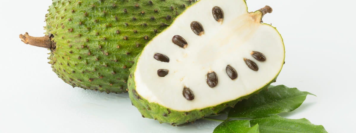 Graviola e Câncer: O Que a Ciência Diz?