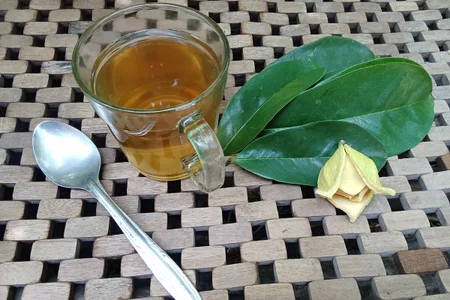 Graviola: Aliada no Controle da Diabetes