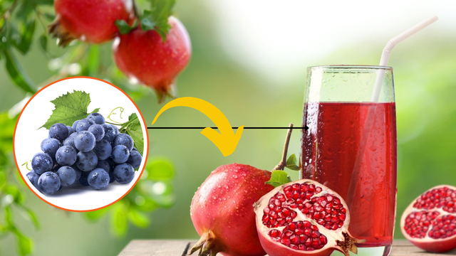 Mitos e Verdades sobre o Consumo de Romã e Suas Contraindicações