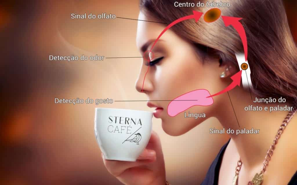 psicologia do olfato e sabor
