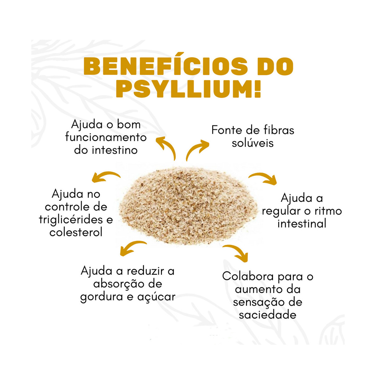 Guia Completo: Dosagem e Horário Ideal para Tomar Psyllium