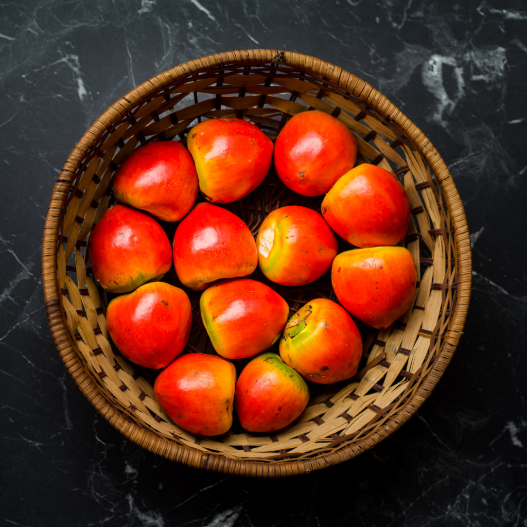 pupunha receitas fáceis