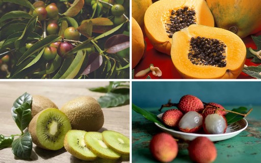 erros ao consumir frutas ricas em vitamina C