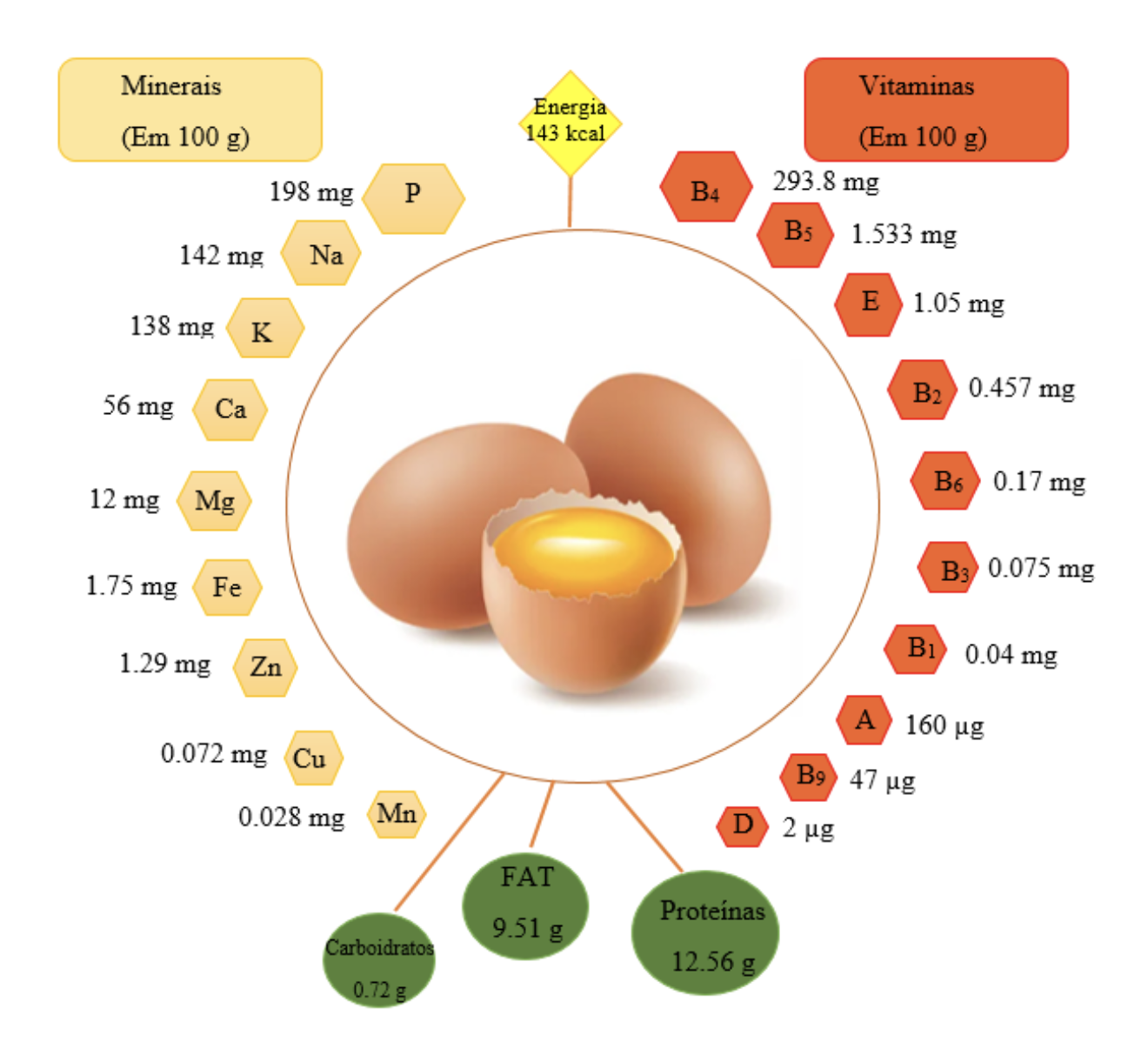 Complexo B e Colina: O Impacto do Ovo na Memória e Metabolismo