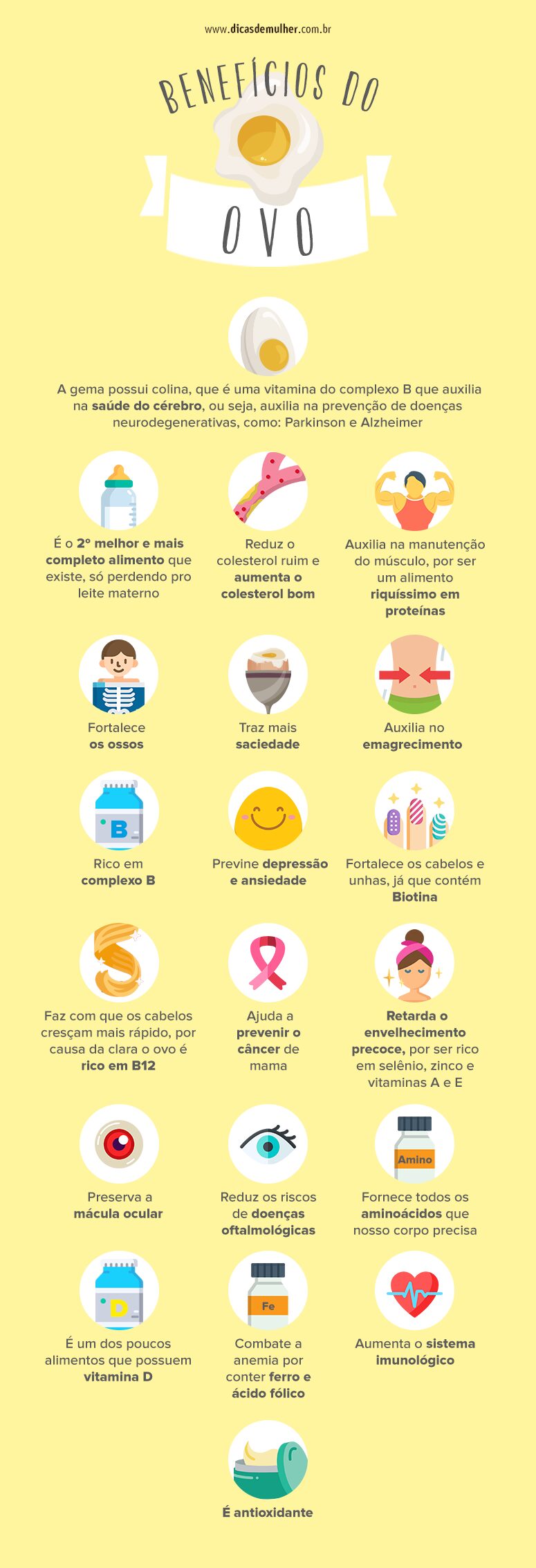 Complexo B e Colina: O Impacto do Ovo na Memória e Metabolismo