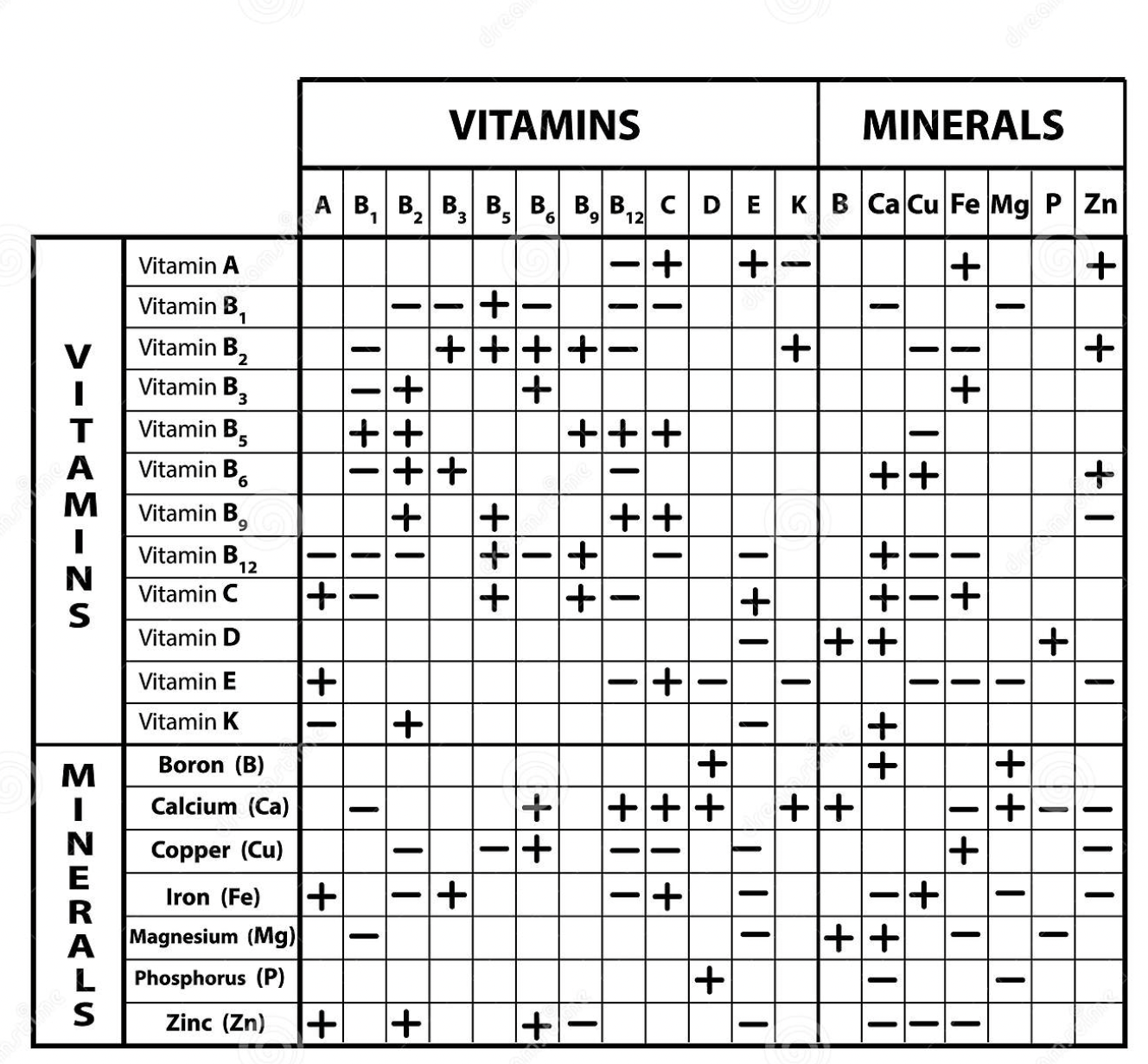 B12 Sublingual vs. Comprimido: Qual a Melhor Opção para Você?