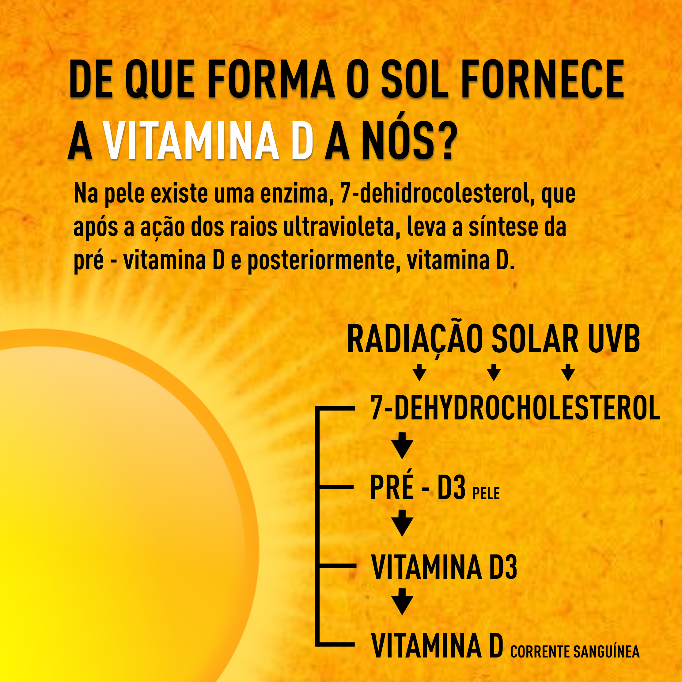 vitamina D sol