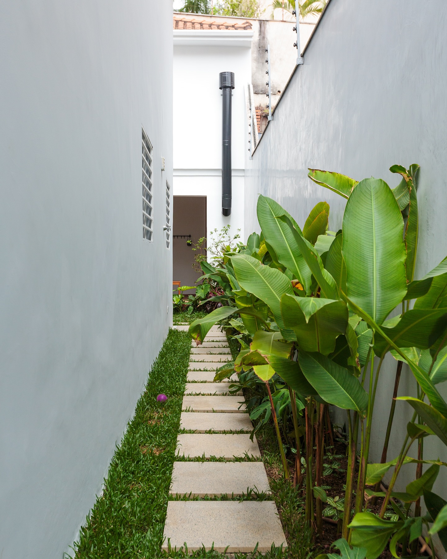 quintal com pallets barato