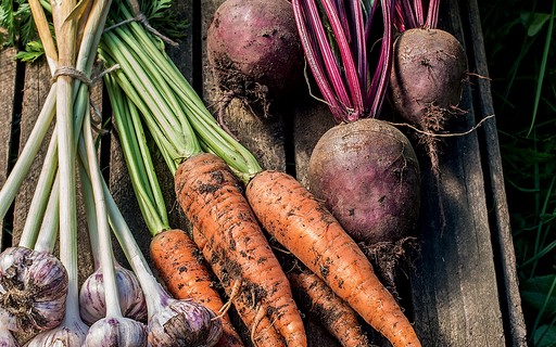 replantar talos de vegetais