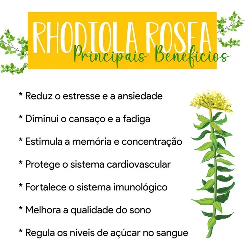 Rhodiola Rosea vs. Ashwagandha: Qual o melhor adaptógeno?