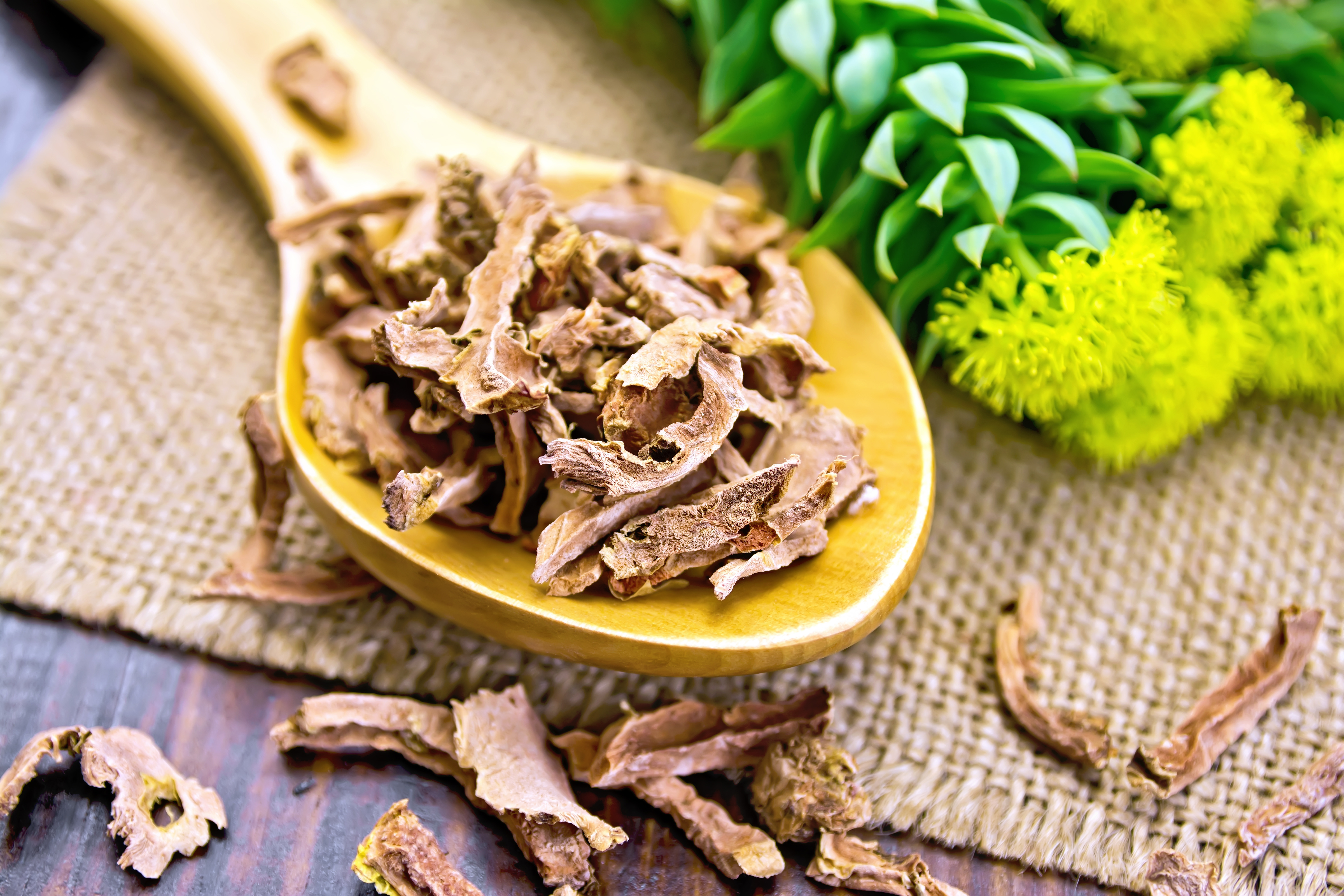 Receitas com Rhodiola Rosea para potencializar seus benefícios
