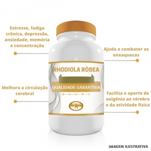 Guia completo sobre os efeitos colaterais e precauções da Rhodiola Rosea