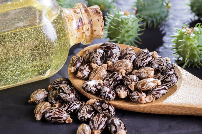 rícino para que serve